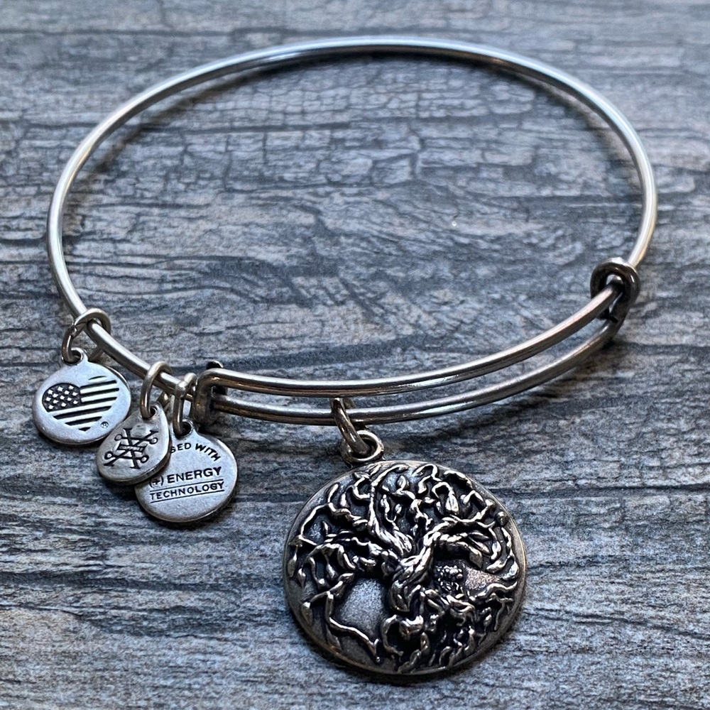 Alex and Ani Tree of Life charm bracelet